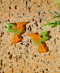 Pampilles Colibri vertes et orange